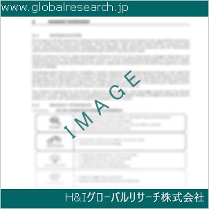 グローバルリサーチ調査資料のイメージ